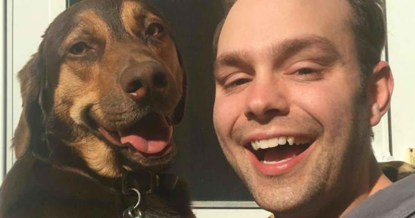 The Truth About Cats And Dogs