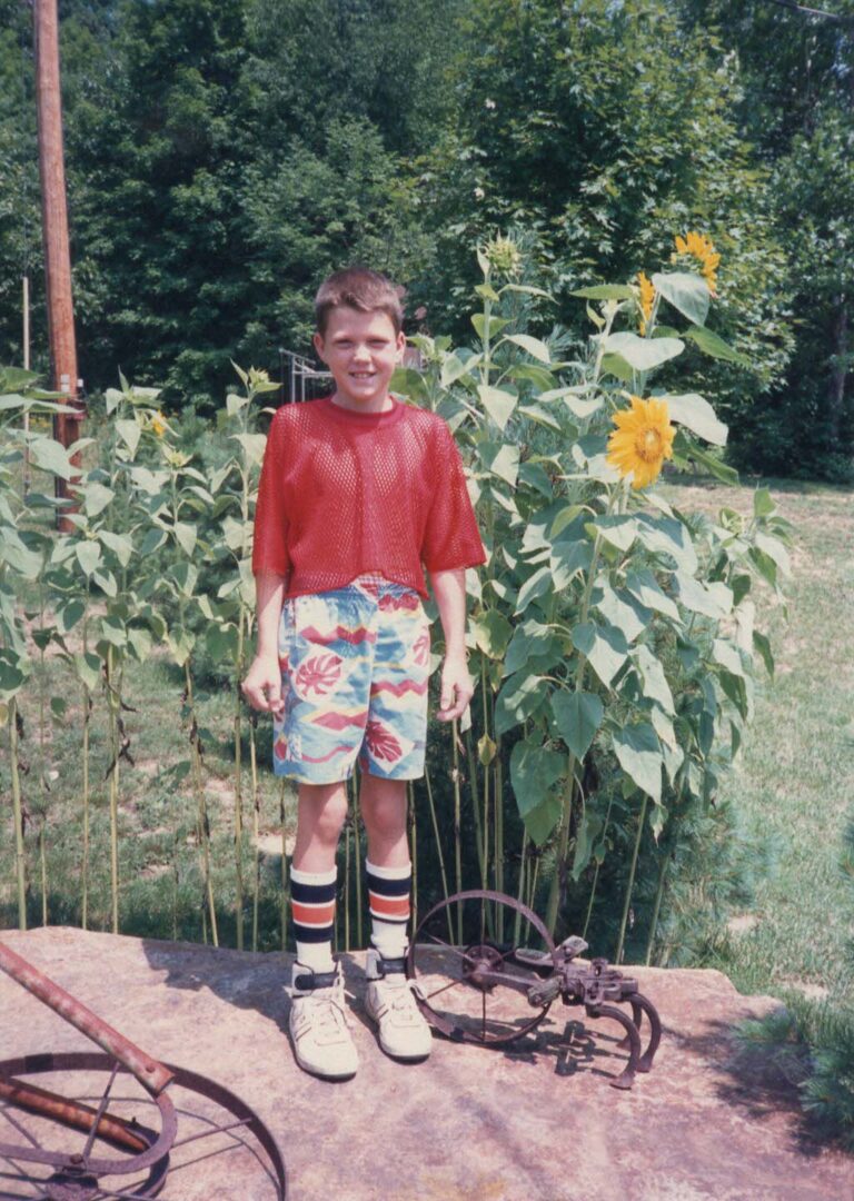 Sunflower '85